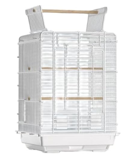 葛葉 メモリアルチェキ チェキ